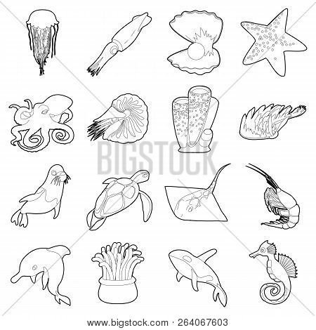 Ocean Animals Fauna Icons Set. Outline Illustration Of 16 Ocean Animals Fauna Icons For Web