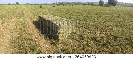 Alfalfa Bale Packed On Freshly Mown Field. Guadiana Meadows, Badajoz, Spain. Panoramic