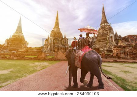 Foreign Tourists Elephant Ride To Visit Ayutthaya, There Are Ruins And Templesi In The Ayutthaya Per