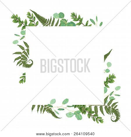 Vector Card Floral Design With Green Watercolor, Forest Fern, Herbs, Eucalyptus, Branches Boxwood, B