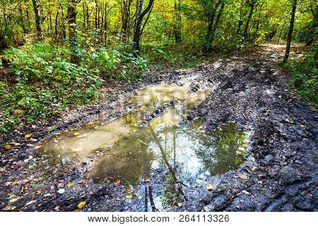 Deep Puddle On Dirty Road In Autumn Forest Of Timiryazevsky Park In Sunny October Day