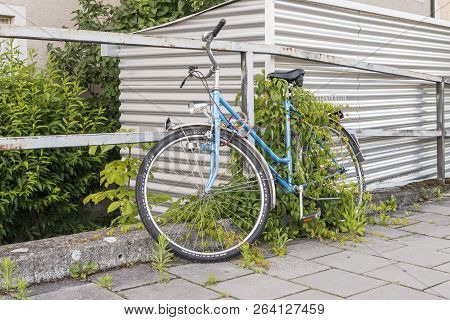 Egensburg, Bavaria, Germany - June 17, 2016: One Parked And Overgrown Bicycle On The Roadside At A S