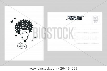 Cute Hedgehog Head Vector Illustration. Design Element, Double Sided Postcard With Hand Drawn Modern