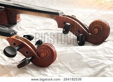 The Construction Of Violin,scroll,pegbox And Neck,on Background