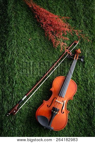 Two Different Size Of Violins Put On Background,warm Light Tone,blurry Light Adesign Background