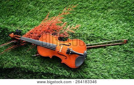 Two Different Size Of Violins Put On Background,warm Light Tone,blurry Light Adesign Background