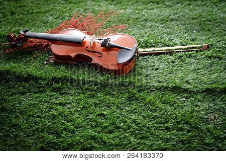 Two Different Size Of Violins Put On Background,warm Light Tone,blurry Light Adesign Background