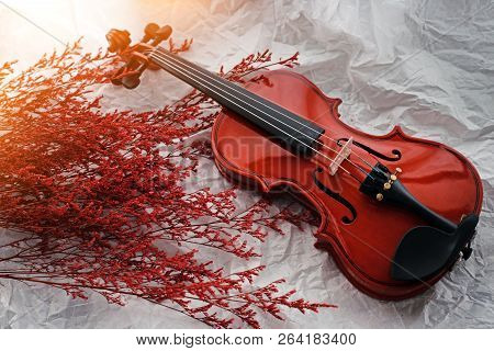 Two Different Size Of Violins Put On Background,warm Light Tone,blurry Light Adesign Background