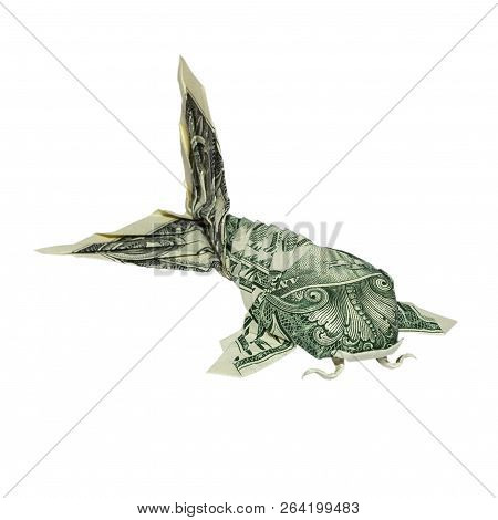 Money Origami Koi Fish Folded With Real One Dollar Bill Isolated On White Background