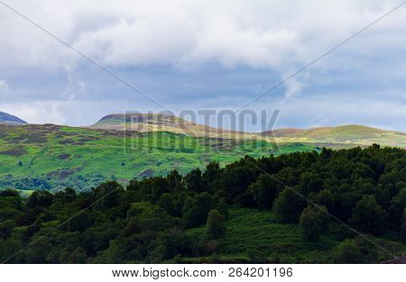 Beautiful And Colorful Forest And The Luss Hills Near Loch Lomond In Argyll & Bute, Scotland, Uk
