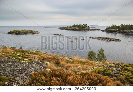 Lake Ladoga Skerries Karelia Russia Rusty Grass Autumn Scenery