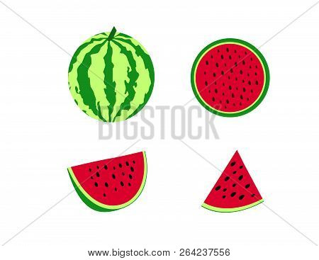 Four Watermelon Vector Illustration Whole Half Quarter Slice