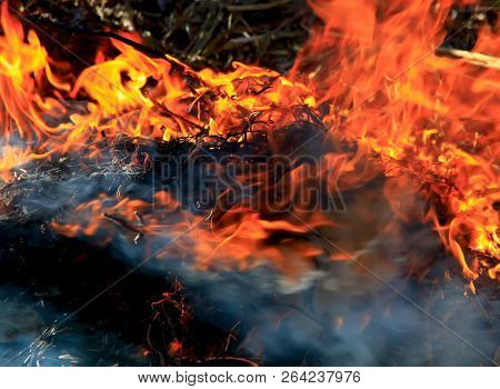 A Dancing Fire In A Fireplace On A Blurred Nature Background, A Fire Texture, A Red Flame.