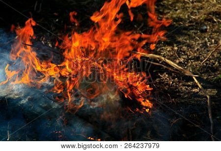 A Dancing Fire In A Fireplace On A Blurred Nature Background, A Fire Texture, A Red Flame.
