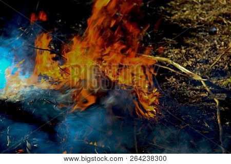 A Dancing Fire In A Fireplace On A Blurred Nature Background, A Fire Texture, A Red Flame.