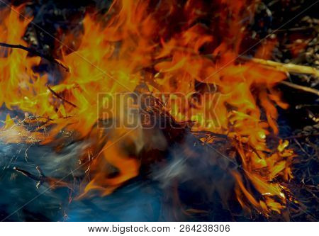 A Dancing Fire In A Fireplace On A Blurred Nature Background, A Fire Texture, A Red Flame.