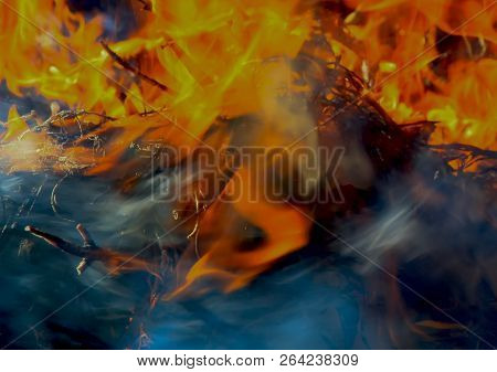 A Dancing Fire In A Fireplace On A Blurred Nature Background, A Fire Texture, A Red Flame.
