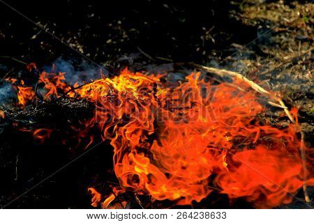 A Dancing Fire In A Fireplace On A Blurred Nature Background, A Fire Texture, A Red Flame.