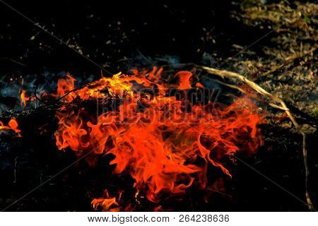 A Dancing Fire In A Fireplace On A Blurred Nature Background, A Fire Texture, A Red Flame.