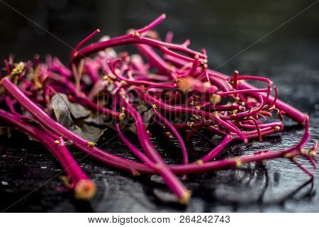 Close Up Of Raw Amaranth Leaves's Branches On Wooden Surface Without Its Leaves.