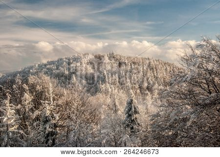 Hill Covered By Frozen Forest During Freezing Winter Day With Blue Sky And Clouds - Orol Hill From M