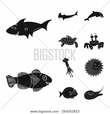 Vector Design Of Sea And Animal Sign. Collection Of Sea And Marine Vector Icon For Stock.