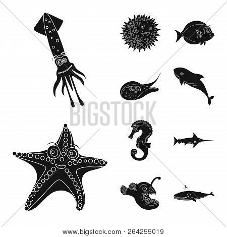 Vector Illustration Of Sea And Animal Logo. Collection Of Sea And Marine Stock Symbol For Web.