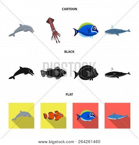Vector Design Of Sea And Animal Logo. Collection Of Sea And Marine Vector Icon For Stock.