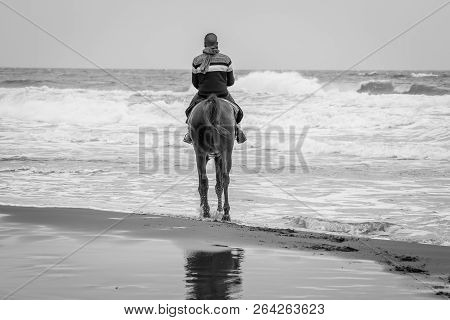 Horse In Saaidia Beach
