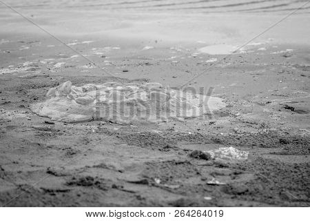 Saaidia Sunset Beach And Waves With Sunset
