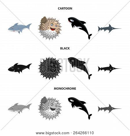 Vector Design Of Sea And Animal Sign. Collection Of Sea And Marine Vector Icon For Stock.