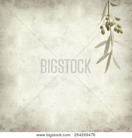 Textured Old Paper Background With Green Olives Ripening On Branches