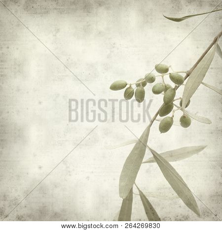 Textured Old Paper Background
