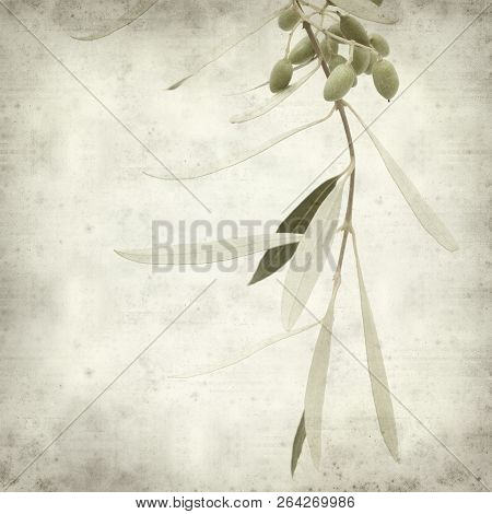 Textured Old Paper Background