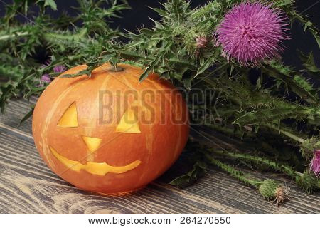 Cheerful Carved Orange Pumpkin Candlestick And Thistle Flower On Dark Wooden Background. Halloween C