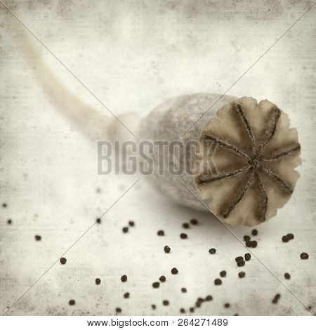 Textured Old Paper Background