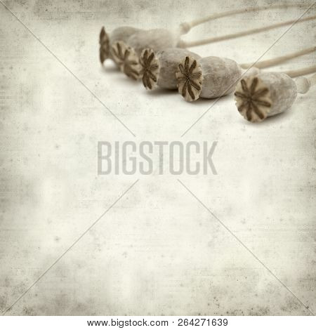 Textured Old Paper Background