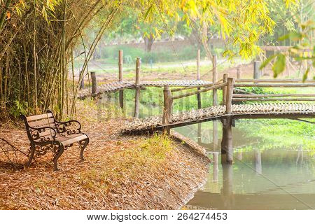Beautiful Garden With Benches In Autumn Tree At Public Park