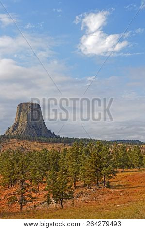 The Devils Tower Over The Forest Landscape
