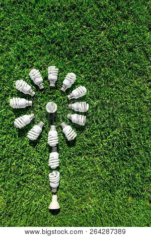 Energy Saving Light Bulbs On Grass In Shape Of Flower. Green Energy Concept