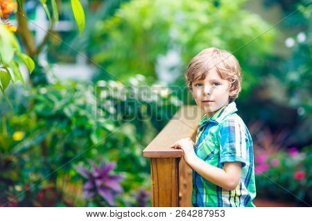 Little Blond Preschool Kid Boy Discovering Flowers, Plants And Butterflies At Botanic Garden. School