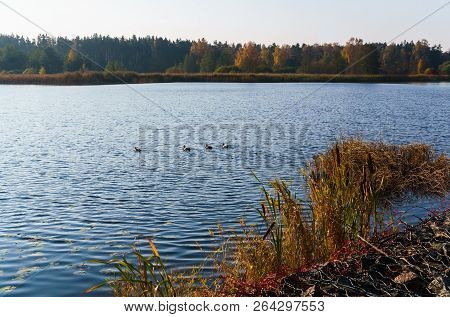 The View Of The River Lielupe At Autumn In Latvia