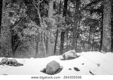 Snow On Michlifen