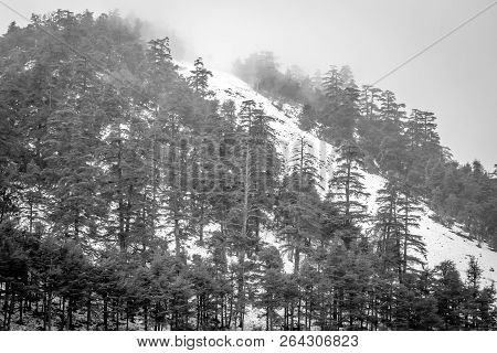 Snow On Michlifen