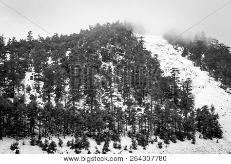 Snow On Michlifen
