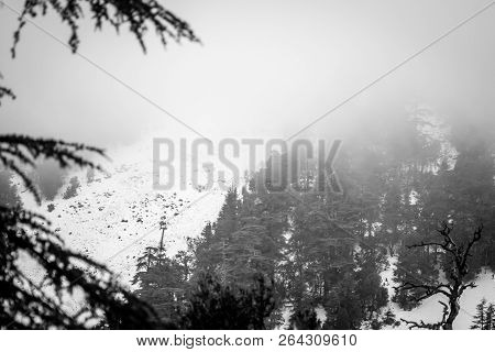 Snow On Michlifen
