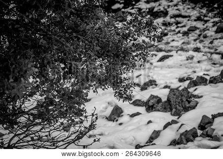 Snow On Michlifen