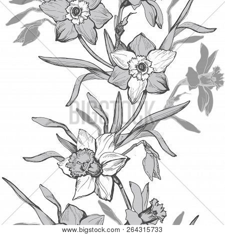Floral Vertical Seamless Pattern With Hand Drawn Flowers Daffodils, Narcissus. Pastel Floral Element