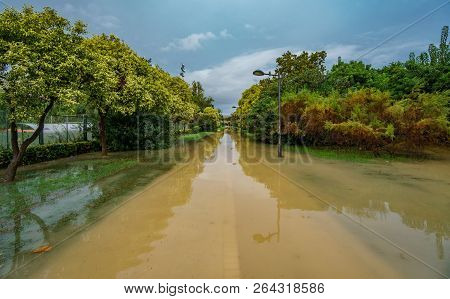 Flooded Old Turia River Bank After Heavy Rain
