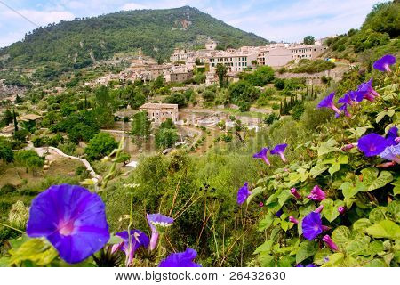 Valldemossa fra Mallorca udsigt fra lilla Ipomea blomster forgrund